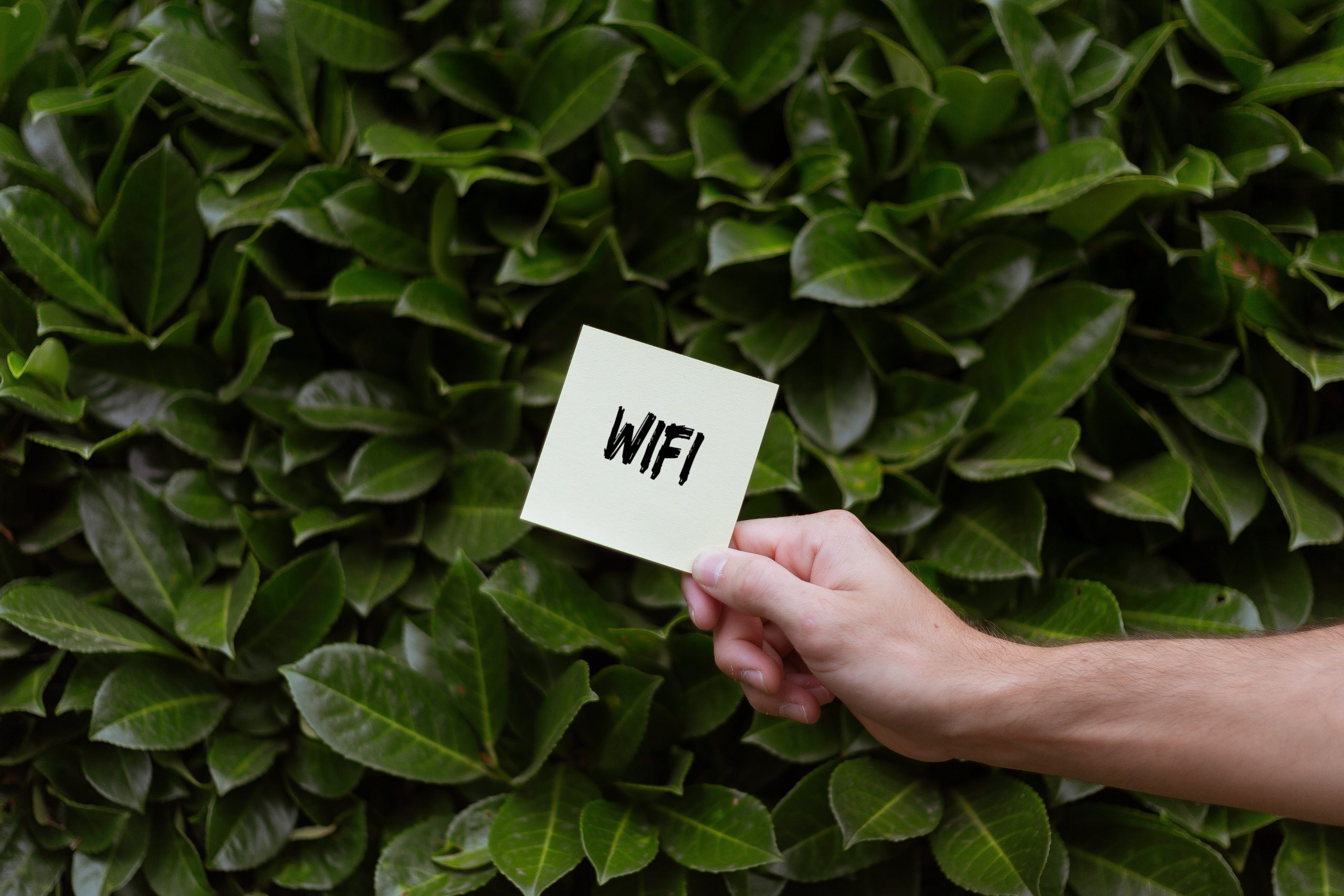wifi 6 路由器推薦4.5g plan速度比較，租 wifi 蛋